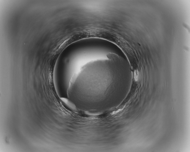 X0000094221155200710261224
