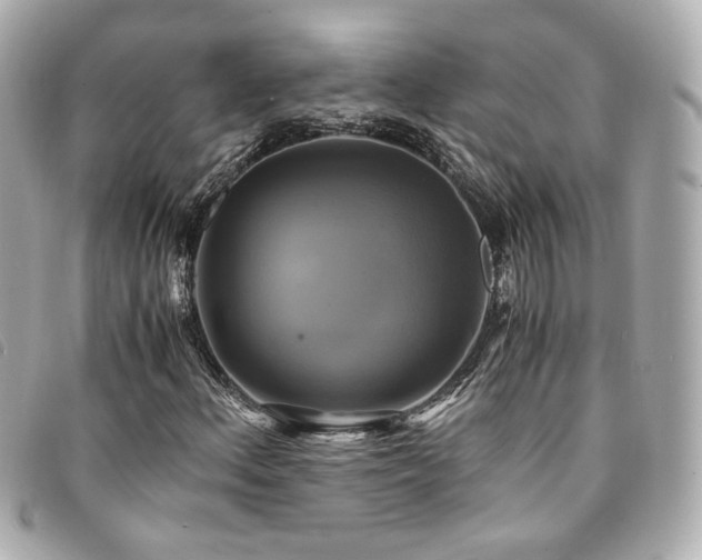 X0000094221156200710261224