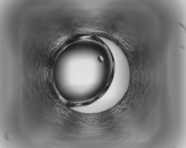 X0000094221157200710261224
