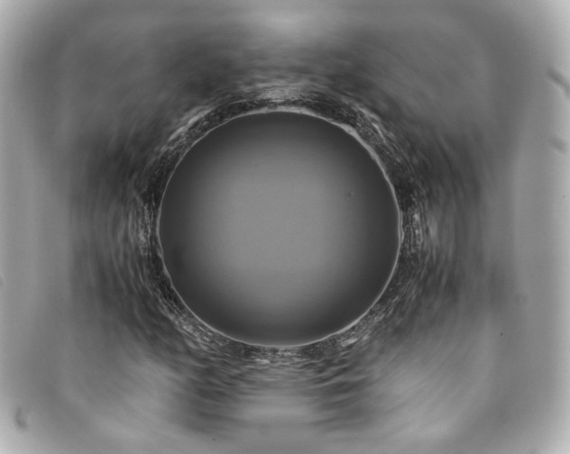 X0000094221158200710261224
