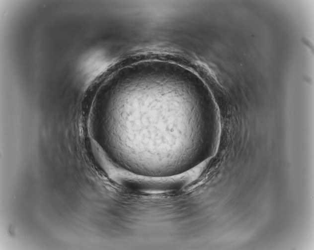X0000094221159200710261224
