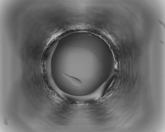 X0000094221160200710261224