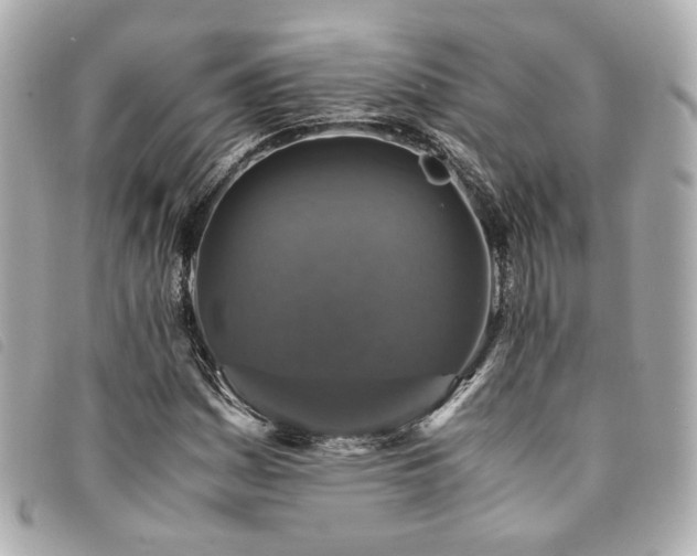 X0000094221161200710261224