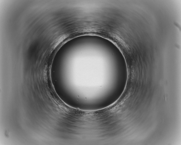 X0000094221162200710261224