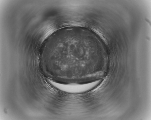 X0000094221163200710261224
