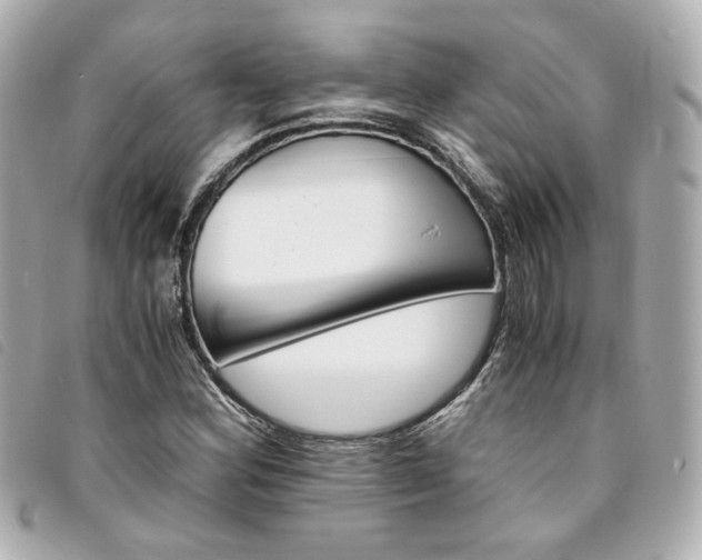 X0000094221164200710261224