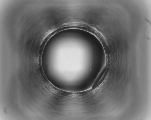 X0000094221166200710261224