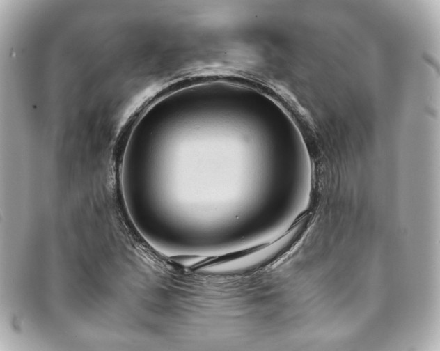 X0000094221167200710261224