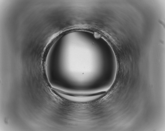 X0000094221168200710261224
