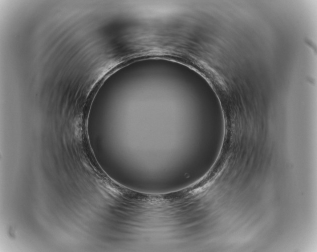 X0000094221170200710261224