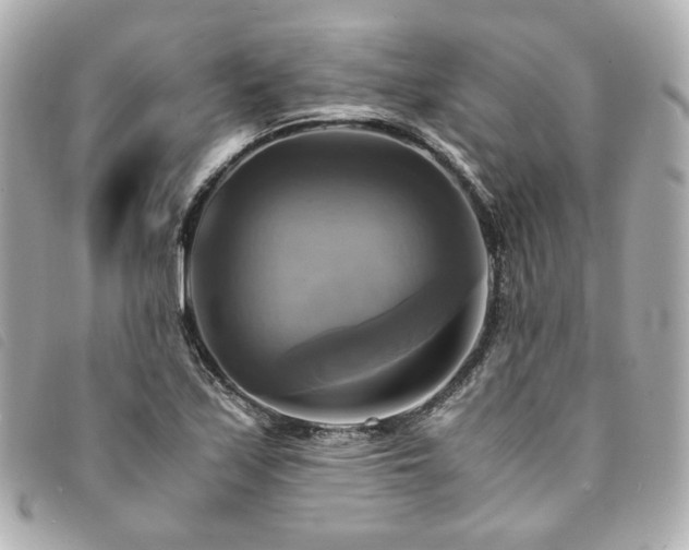 X0000094221171200710261224