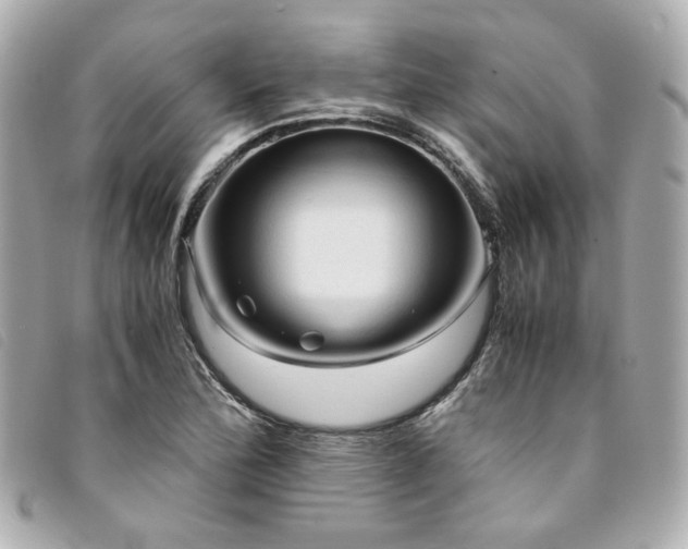 X0000094221172200710261224