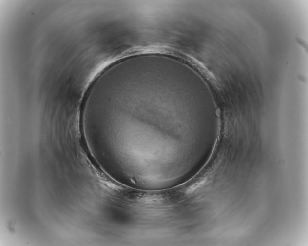 X0000094221174200710261224