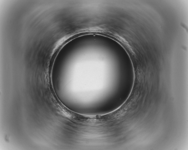 X0000094221176200710261224