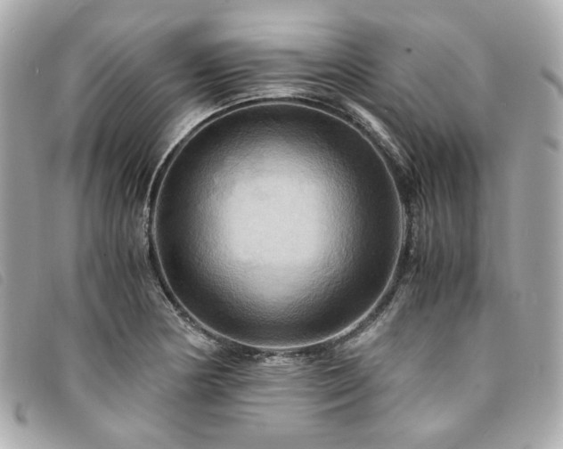 X0000094221178200710261224