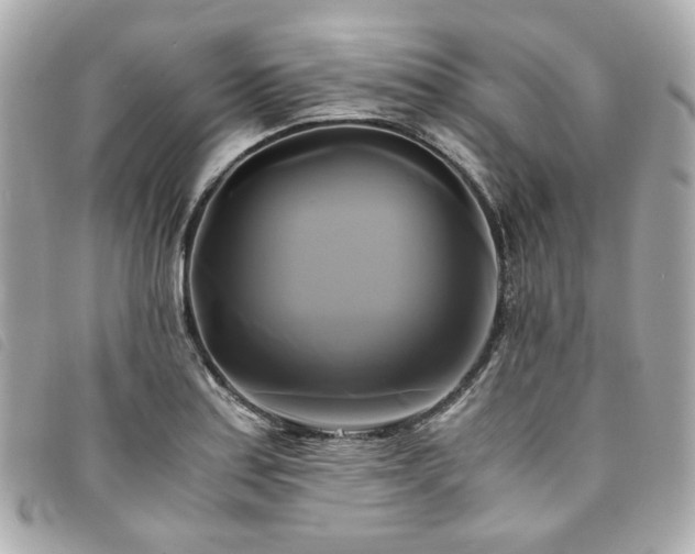 X0000094221179200710261224
