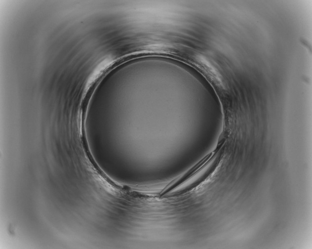 X0000094221180200710261224
