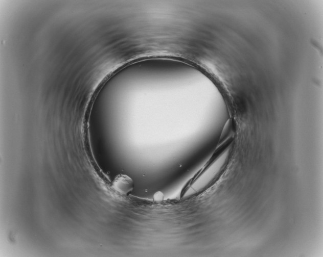 X0000094221181200710261224