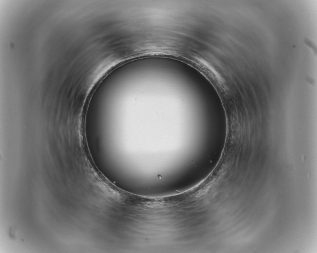 X0000094221182200710261224