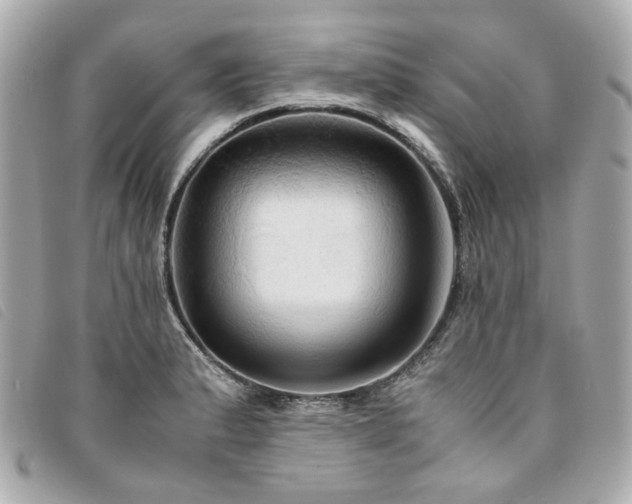X0000094221183200710261224
