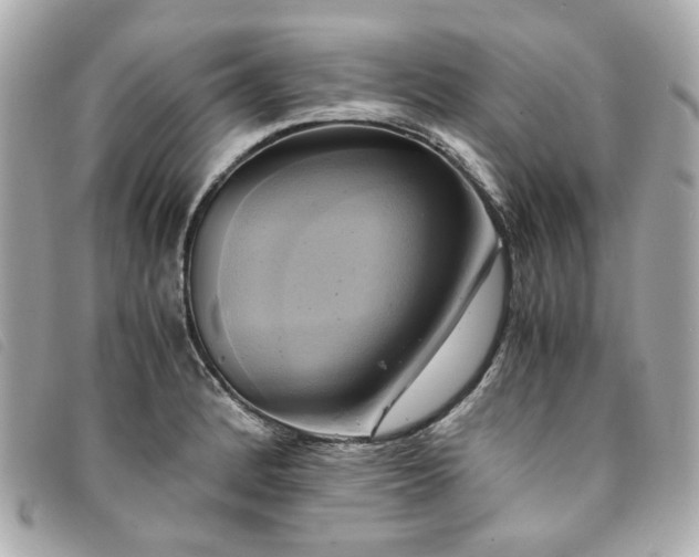 X0000094221184200710261224