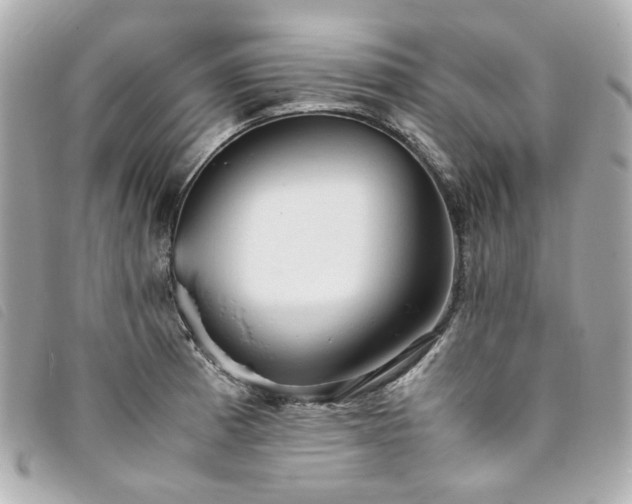 X0000094221185200710261224