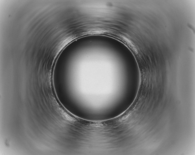 X0000094221186200710261224