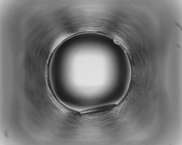 X0000094221187200710261224