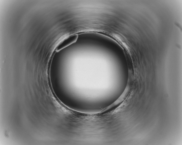 X0000094221189200710261224