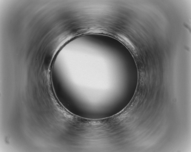 X0000094221190200710261224