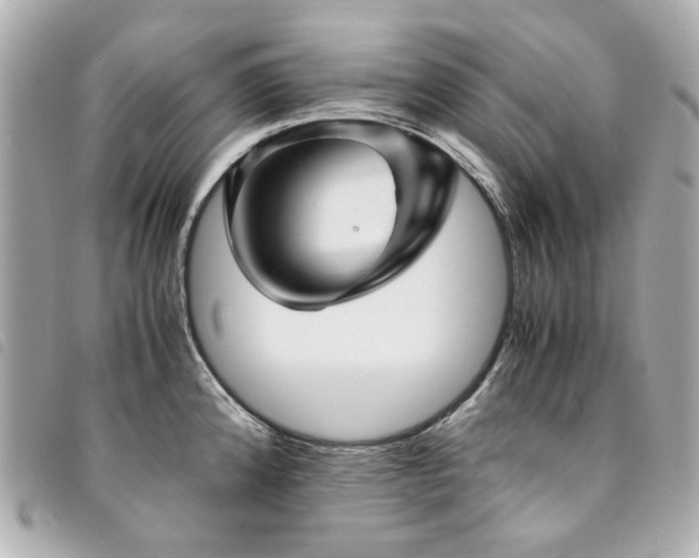 X0000094221192200710261224