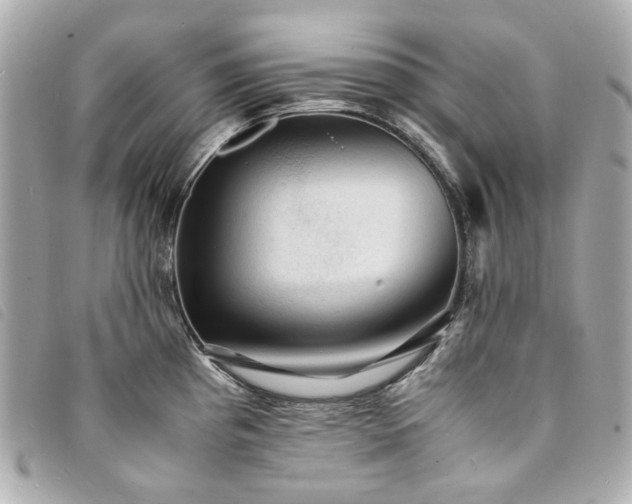 X0000094221193200710261224