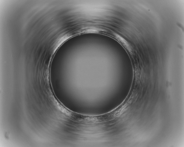 X0000094221194200710261224