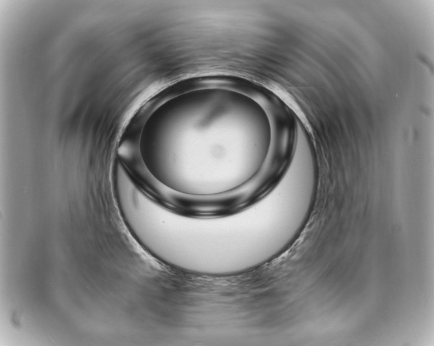 X0000094221197200710261224