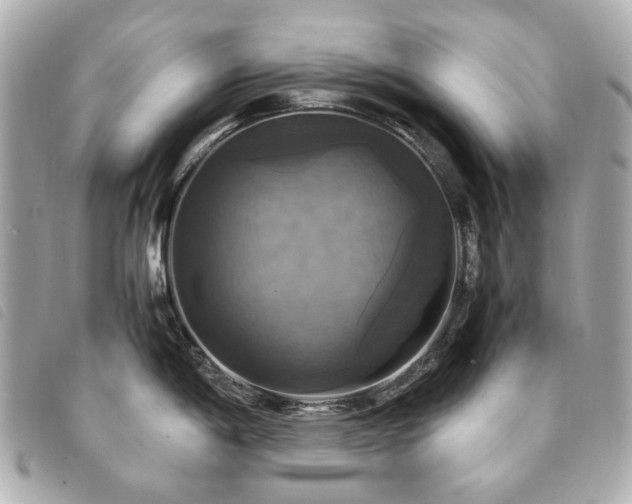 X0000094221198200710261224