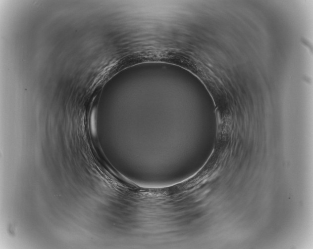 X0000094221202200710261223