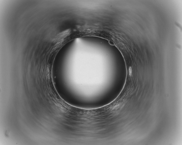 X0000094221203200710261223