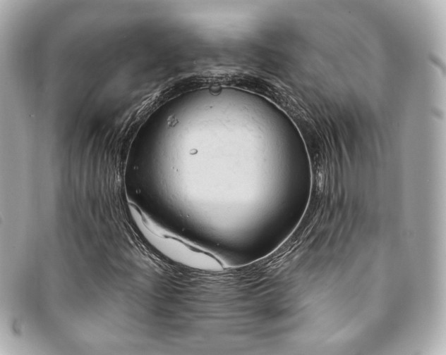 X0000094221204200710261223