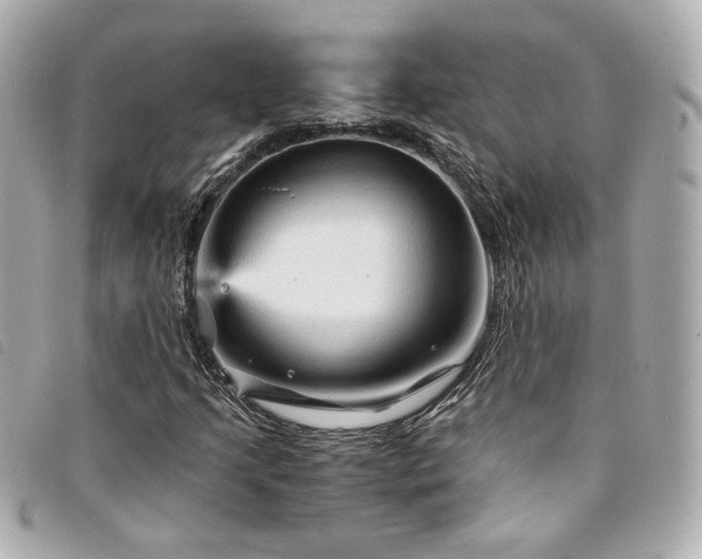 X0000094221205200710261223
