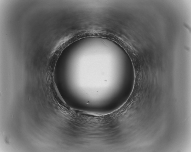X0000094221207200710261223