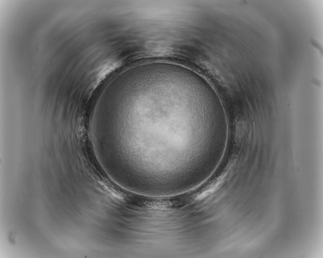 X0000094221210200710261223