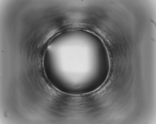 X0000094221211200710261223
