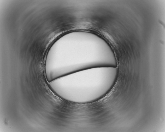 X0000094221212200710261223