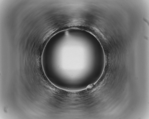 X0000094221217200710261223