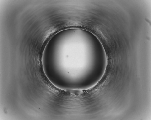 X0000094221218200710261223