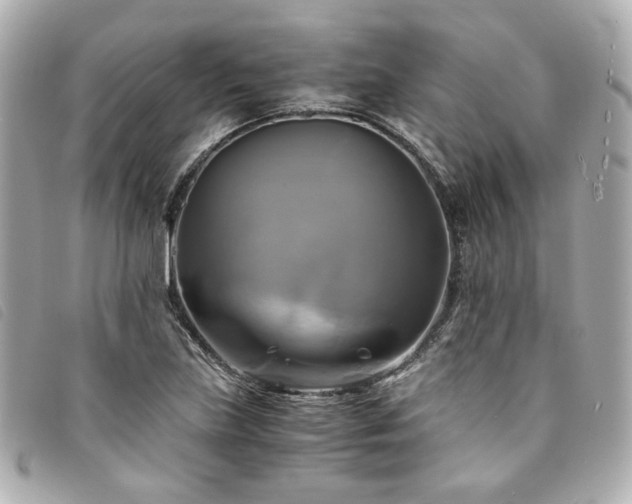 X0000094221219200710261223