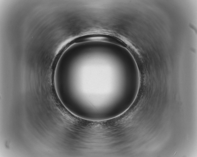 X0000094221222200710261223