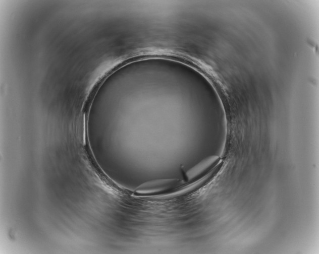 X0000094221223200710261223
