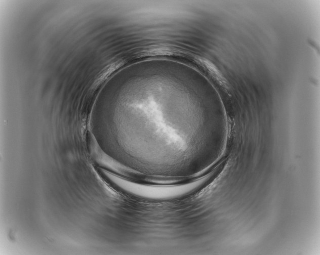 X0000094221225200710261223