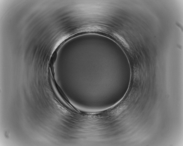 X0000094221226200710261223